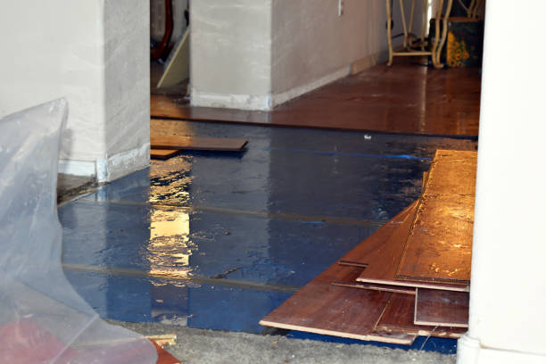 Professional Sewage Cleanup technician working in New Portland, ME